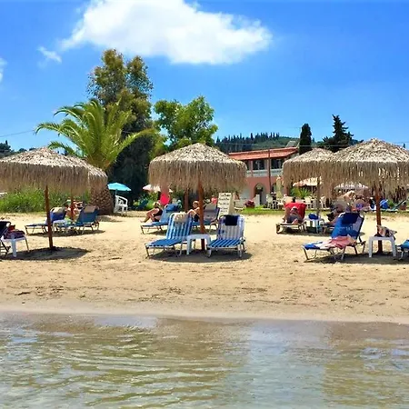 Mariposa Next To The Sea Daire *